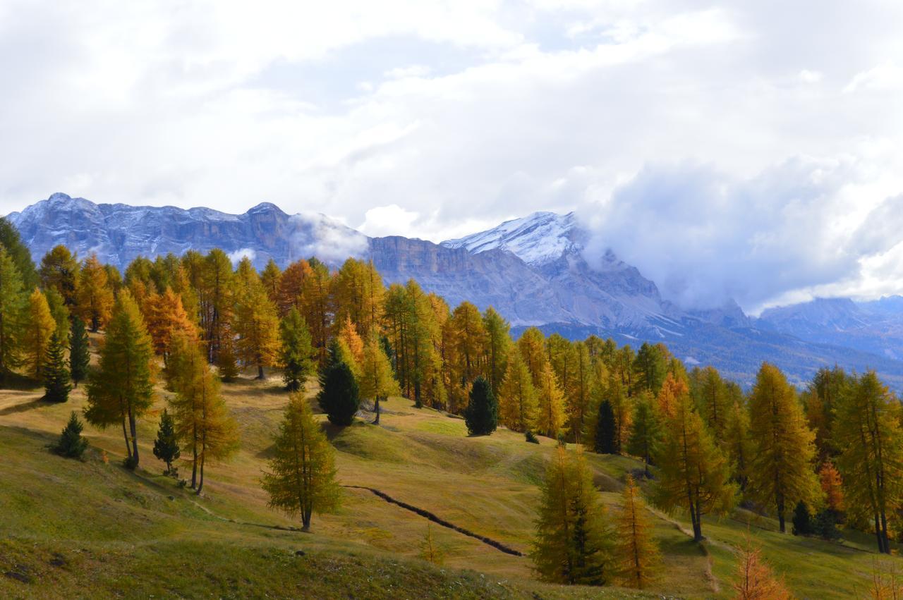 Agriturismo Anvi バディーア エクステリア 写真